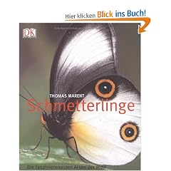 Schmetterlinge: Die faszinierendsten Arten der Welt
