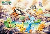 70ピース ポケモンAG みんなでおふろ AM 70-28