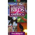 Buy Amazing Birds of America [VHS]