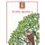 Nelson Grammar - Pupil Book 3
