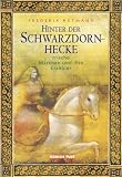 Produkt-Bild: Hinter der Schwarzdornhecke. Irische M&auml;rchen und ihre Erz&auml;hler