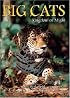 Big Cats (Wildlife)