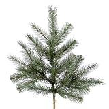 21" Blue Albany Spruce Spray w/ 27T.