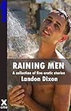Raining men : a collection of five gay erotic stories