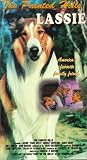 Painted Hills [VHS]