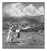 Historic Print (XL): Looking over modern homes in ancient Sparta, west of famous Taygetos mountains, Greece