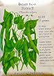 Bean Seeds Roma Bush 60 Seeds