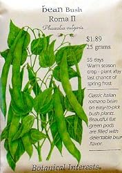 Bean Seeds Roma Bush 60 Seeds