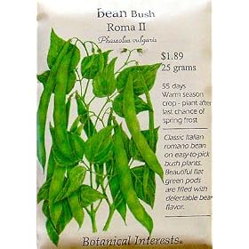 Bean Seeds Roma Bush 60 Seeds