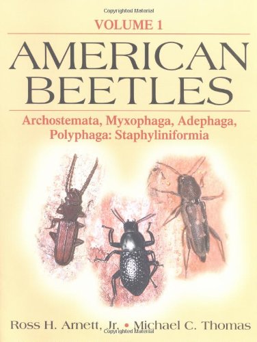 Image of: American Beetles, Volume I: Archostemata, Myxophaga, Adephaga, Polyphaga: Staphyliniformia