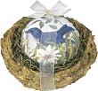 Bluebird Nest With Soap
