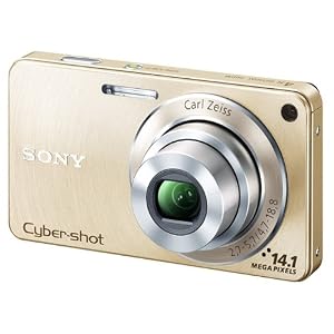 �����С�����å� DSC-W350 ������� [1410������/����x4/�ǥ�����x8]