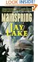 Mainspring