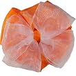 Posies Accessories Basic Classic 6 Hair Bow Collection
