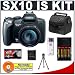 Canon PowerShot SX10 IS 10MP Digital Camera with 20x Wide Image Stabilized Zoom + Cameta Bonus Accessory Kit