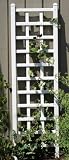 Providence Trellis