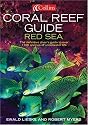 Coral Reef Guide Red Sea