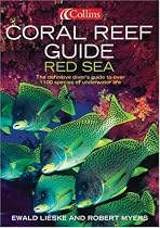 Coral Reef Guide Red Sea