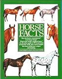 Horse Facts