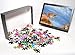 Photo Jigsaw Puzzle of COUGAR / Mountain Lion / Puma / Panther - from Ardea Wildlife Pets