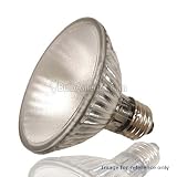 USHIO 75w 120v PAR30 FL40 halogen bulb - 001533