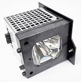 Replacement TV Lamp UX21517 sale price