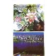 Asuncion Plano de la Ciudad (Spanish Edition) by Paraguay Travel Books
