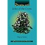 Praying With John of the Cross (Companions for the Journey)