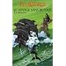 Ever World, tome 3 : Le Voyage sans retour