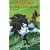 Ever World, tome 3 : Le Voyage sans retour
