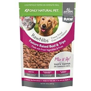 Only Natural Pet RawNibs Freeze Dried Beef 10 oz