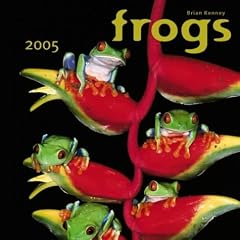 Frogs Wall Calendar 2005