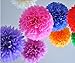 Orino8482; Pom Poms - 5pcs 2 Sizes Tissue Paper Flowers, Tissue Paper Pom Poms, Wedding Decor, Party Decor, Pom Pom Flowers, Tissue Paper, Tissue Paper Flowers Kit, Pom Poms Craft, Wedding Pom Poms, Pom Poms Decoration (Blue&Light Blue)
