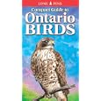 Compact Guide to Ontario Birds by  Krista Kagume