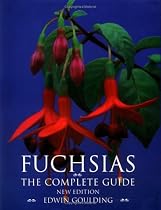 Fuchsias