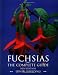 Fuchsias by Edwin Goulding