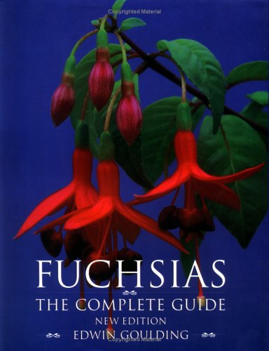 Fuchsias