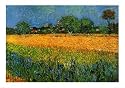 View of Arles with Irises Styles Art Poster Print by Vincent van Gogh, 39x28
