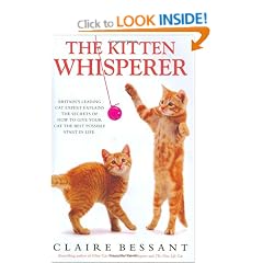 The Kitten Whisperer