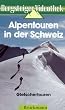 Alpentouren in der Schweiz 3 - Gletschertouren [VHS]