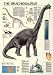 Brachiosaurus Art Poster PRINT Unknown 27x39