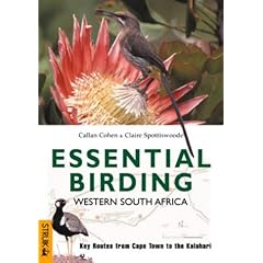 Essential Birding: Western South Africa - Key Routes from Cape Town to the Kalahari