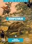 Aesop's Fables (Junior Classics)