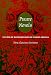 Book Pirate Novels: Fictions of Nation Building in Spanish America