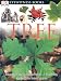 Books : Tree (DK Eyewitness Books)