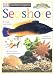 Eyewitness Explorers: Seashore (Eyewitness Explorers) by David Burnie ISBN 0789416816