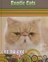Exotic Cats (Eye to Eye with Cats)