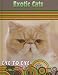 Exotic Cats (Eye to Eye With Cats)