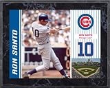 Ron Santo Chicago Cubs 8x10 Color Plaque