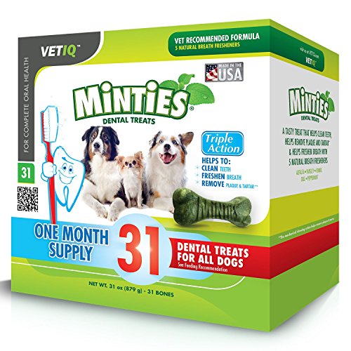 Minties Dental Treats (31 ct.)